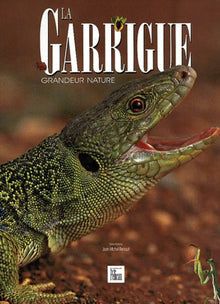 La Garrigue, grandeur nature