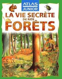 La vie secrète de nos forêts
