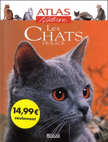 Les Chats de race