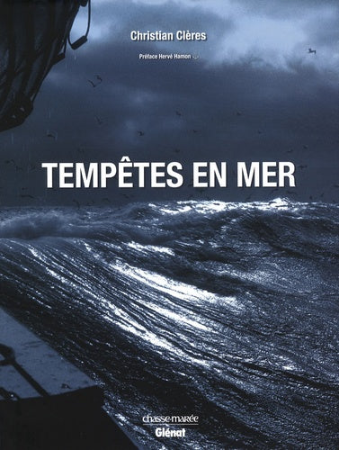 Tempêtes en mer