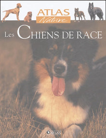 Les chiens de race