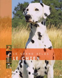 Le chien