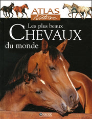 Les plus beaux Chevaux du monde