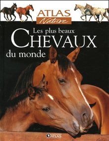Les plus beaux Chevaux du monde