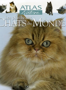 Les plus beaux chats du monde
