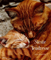 Sieste et Tendresse