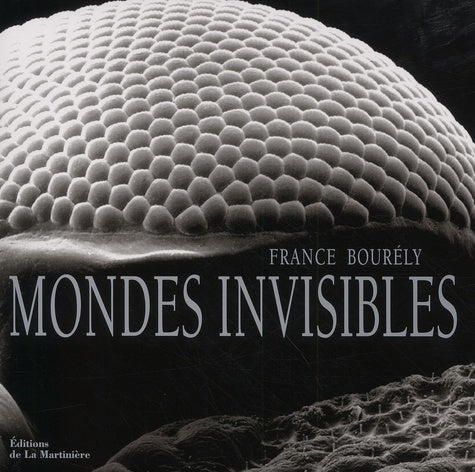 Mondes invisibles. Eloge de la beauté cachée