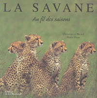 Savanes