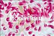 La biodiversité