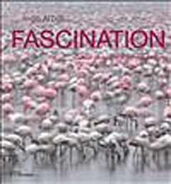 Fascination: quand les animaux se rassemblent