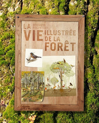 La Vie illustrée de la forêt