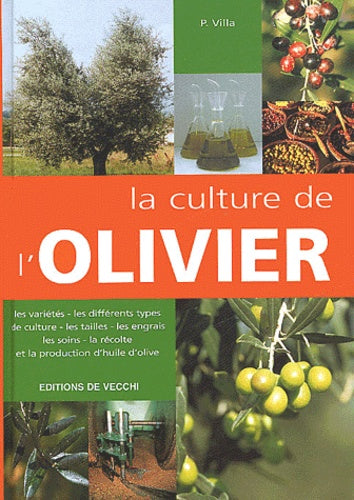 La culture de l'olivier