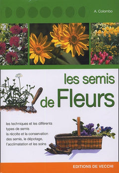 Les semis de fleurs