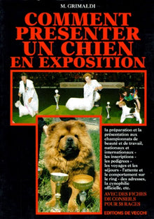 Comment présenter un chien en exposition