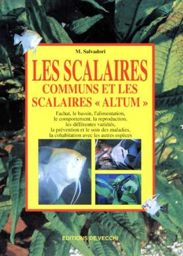 Les scalaires communs et les scalaires altum