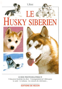 Le Husky Siberien