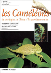 Les Cameleons De Montagne, De Plaine Et Les Cameleons Nains