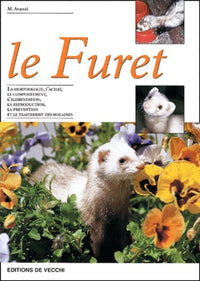 Le Furet