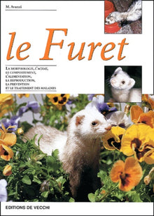 Le Furet