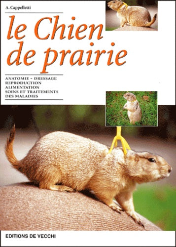Le chien de prairie
