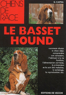 Le basset hound