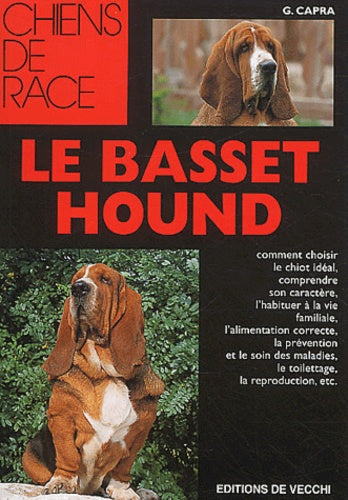 Le basset hound