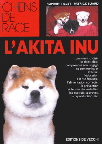 L'akita-inu