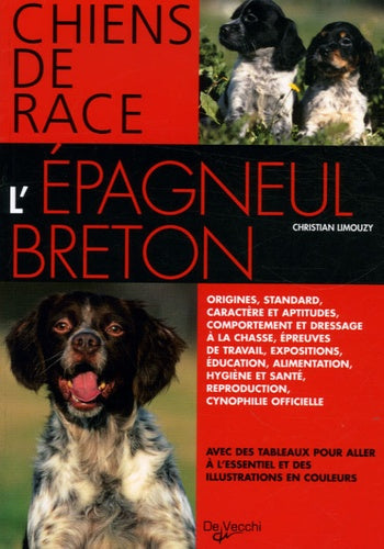 L'épagneul breton