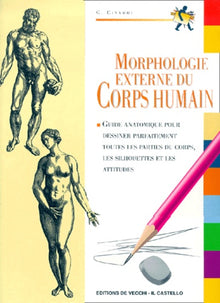 Morphologie externe du corps humain