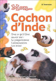 Mon cochon d'Inde