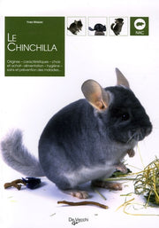Chinchilla