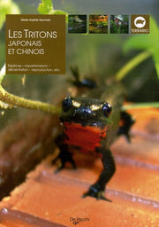 Les triton japonais et chinois