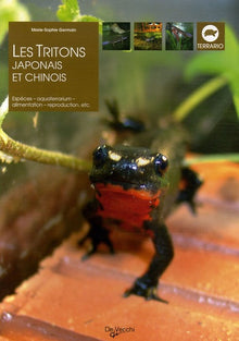 Les triton japonais et chinois