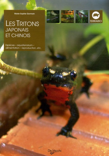 Les triton japonais et chinois