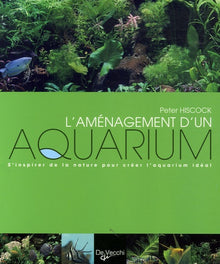 L'aménagement d'un aquarium