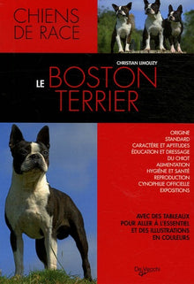 Boston Terrier