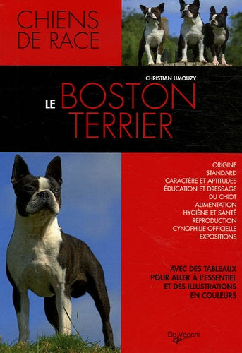 Boston Terrier