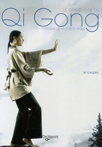 Le grand livre du Qi Gong