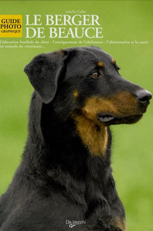 Le berger de Beauce