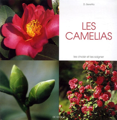 Les camélias