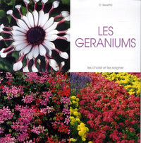 Les géraniums