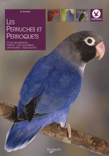 Les perruches et perroquets