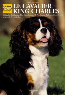 Le cavalier King Charles