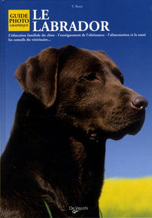 Le Labrador