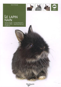 Le lapin nain: Morphologie, comportement, alimentation, reproduction et hygiène