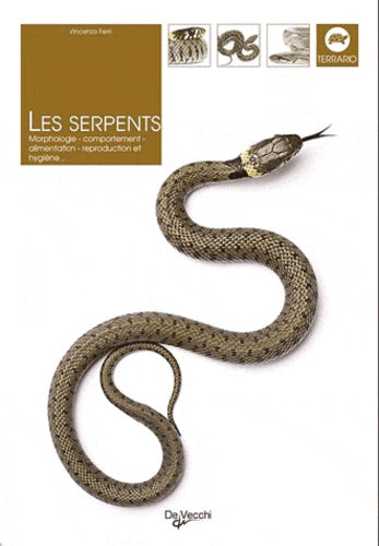 SERPENTS
