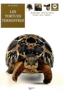Les tortues terrestres