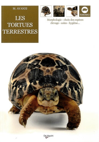 Les tortues terrestres