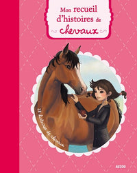 Mon recueil d'histoires de chevaux