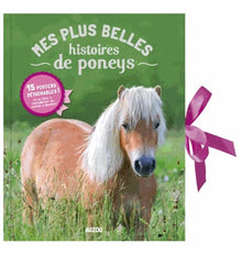 Mes plus belles histoires de poney
